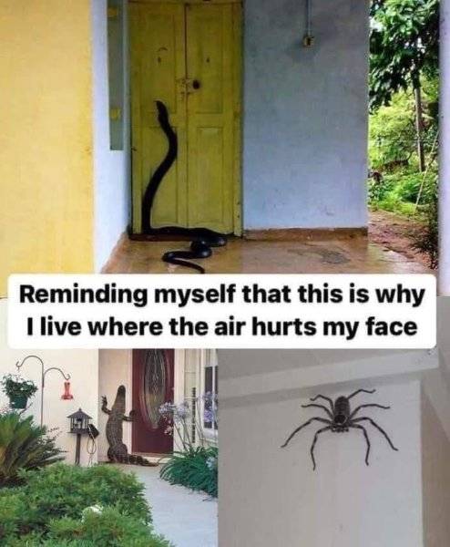 thumbnail (28).jpg