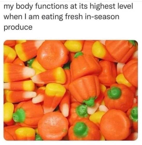 thumbnail (3).jpg