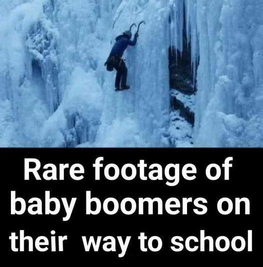 thumbnail (5).jpg