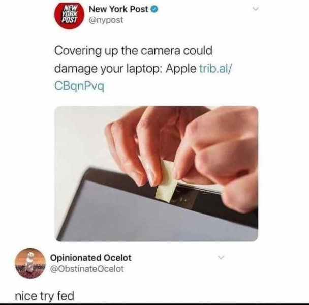 thumbnail (6).jpg