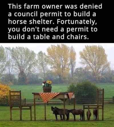 thumbnail (9).jpg