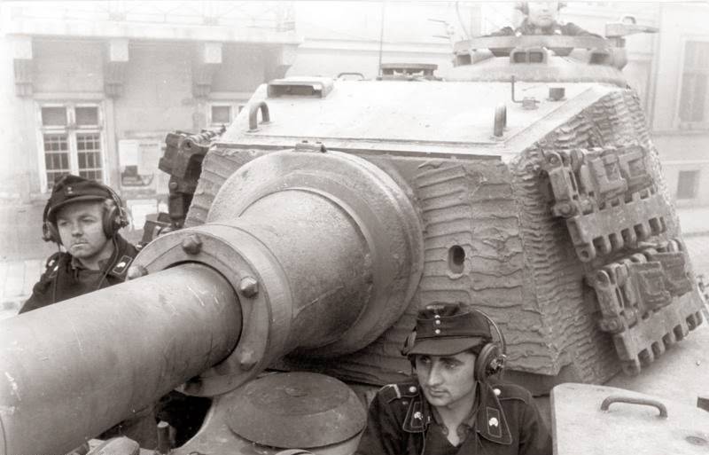 tiger2budapest.jpg