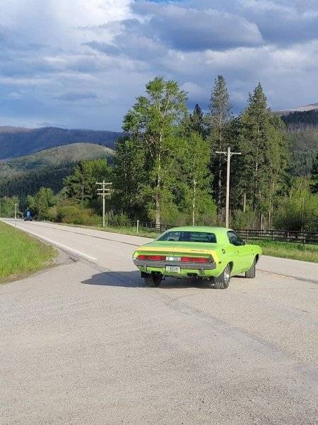 TLT22.jpg