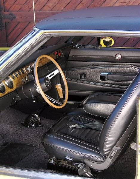 TopBanana_IMG005.jpg