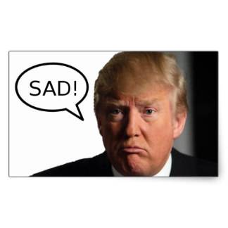 trump_sad_rectangular_sticker-r75dd266ebeaf4bcbb3934a37d4e698f3_v9wxo_8byvr_324.jpg