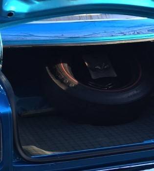 trunk 1.jpg