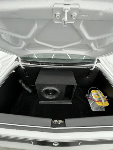 trunk (2).jpg