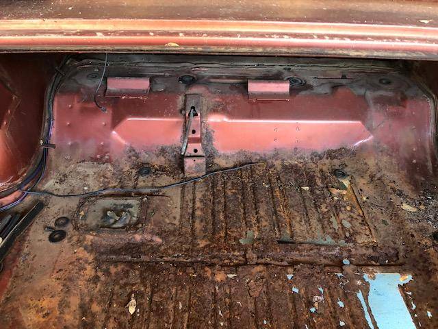 Trunk 6.jpg