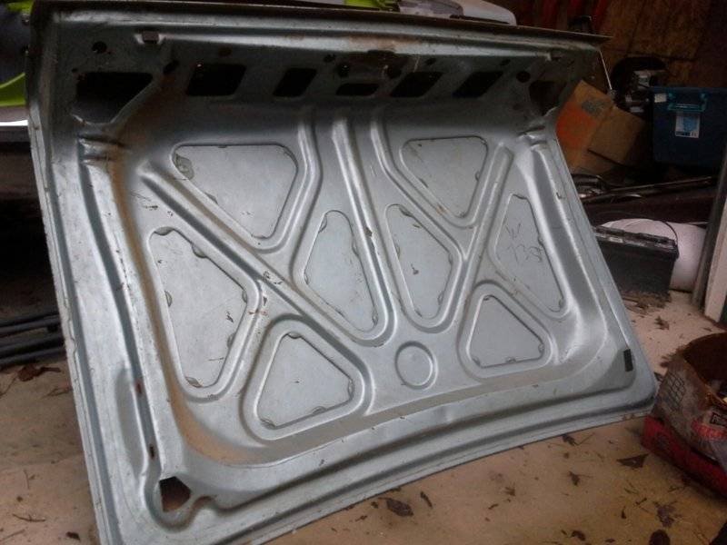 trunk bottom.JPG