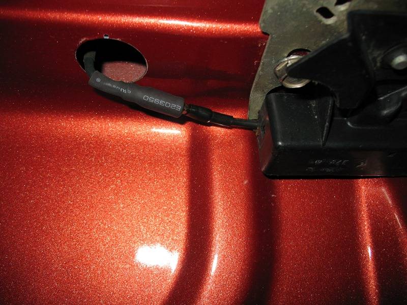 trunk1.jpg