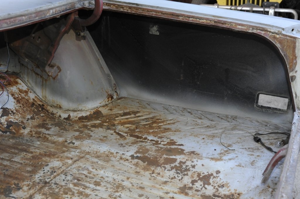 Trunk3.JPG