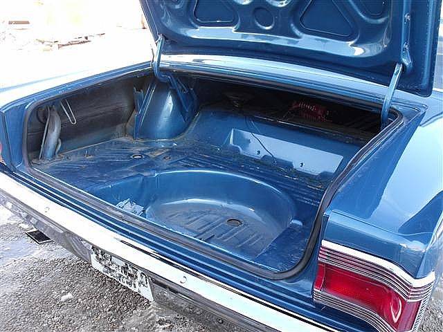 trunk_3.jpg
