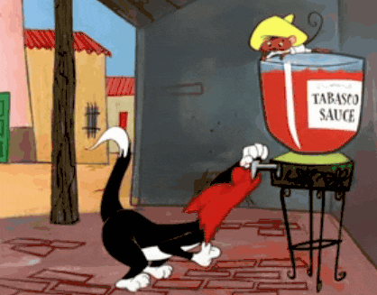 tumblr_lnh6ogS22b1qfqcmfo1_500.gif