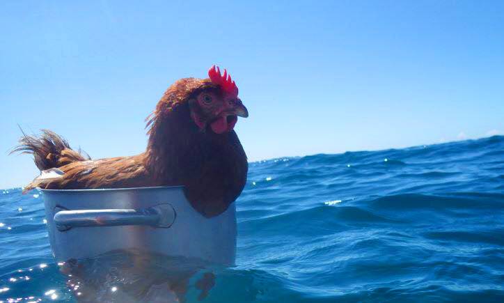 tumblr_oa62h1p4Io1qzd9ino1_1280.jpg