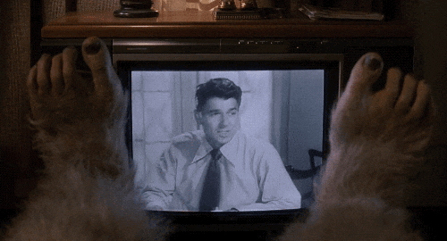 tumblr_ogn6yrkhZj1qzk2apo1_500.gif