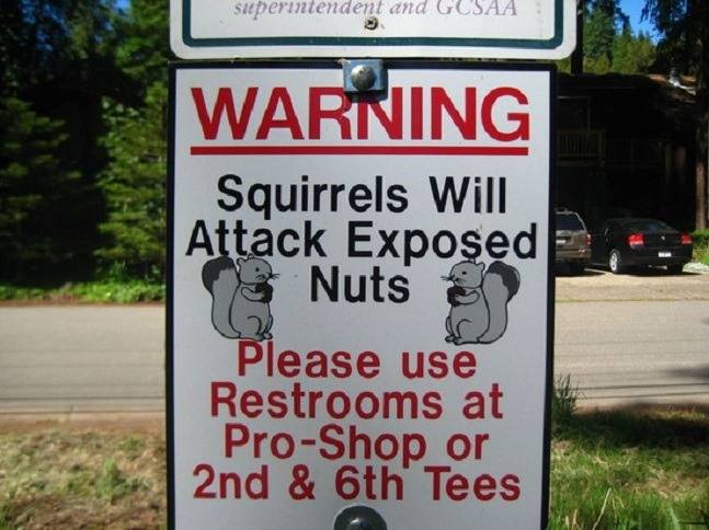 tumblr_ozx6z40W5D1ucacobo1_1280.jpg