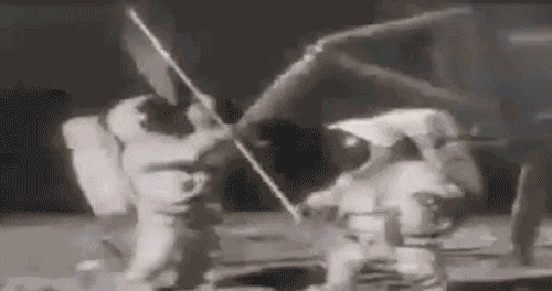 tumblr_petbzolrvg1ry46hlo1_500.gif