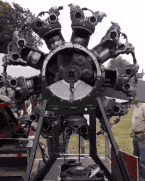 tumblr_phy6jhpwm11toamj8o1_400.gif