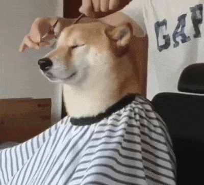 tumblr_pwjqmfPJE51toamj8o1_400.gif