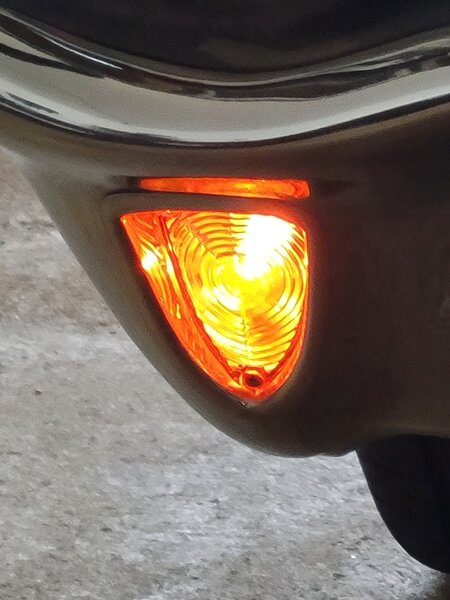turn signal lens.jpg