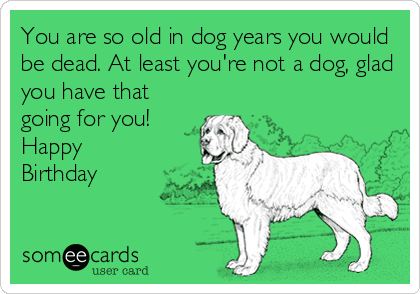?u=http%3A%2F%2Fcdn.someecards.com%2Fsomeecards%2Fusercards%2FMjAxMy0yMGIzZWEyN2U0NDQwMmZm.png