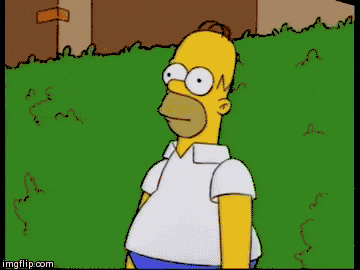 ?u=https%3A%2F%2Fi.imgflip.com%2Fbzw9y.gif