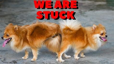 ?u=https%3A%2F%2Ftse4.mm.bing.net%2Fth%2Fid%2FOIP.jpg