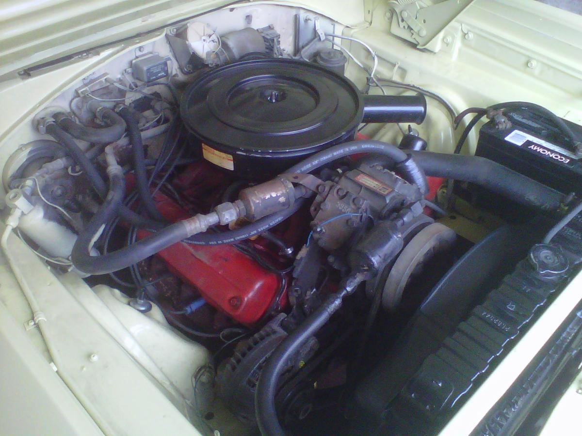 underhood.jpg