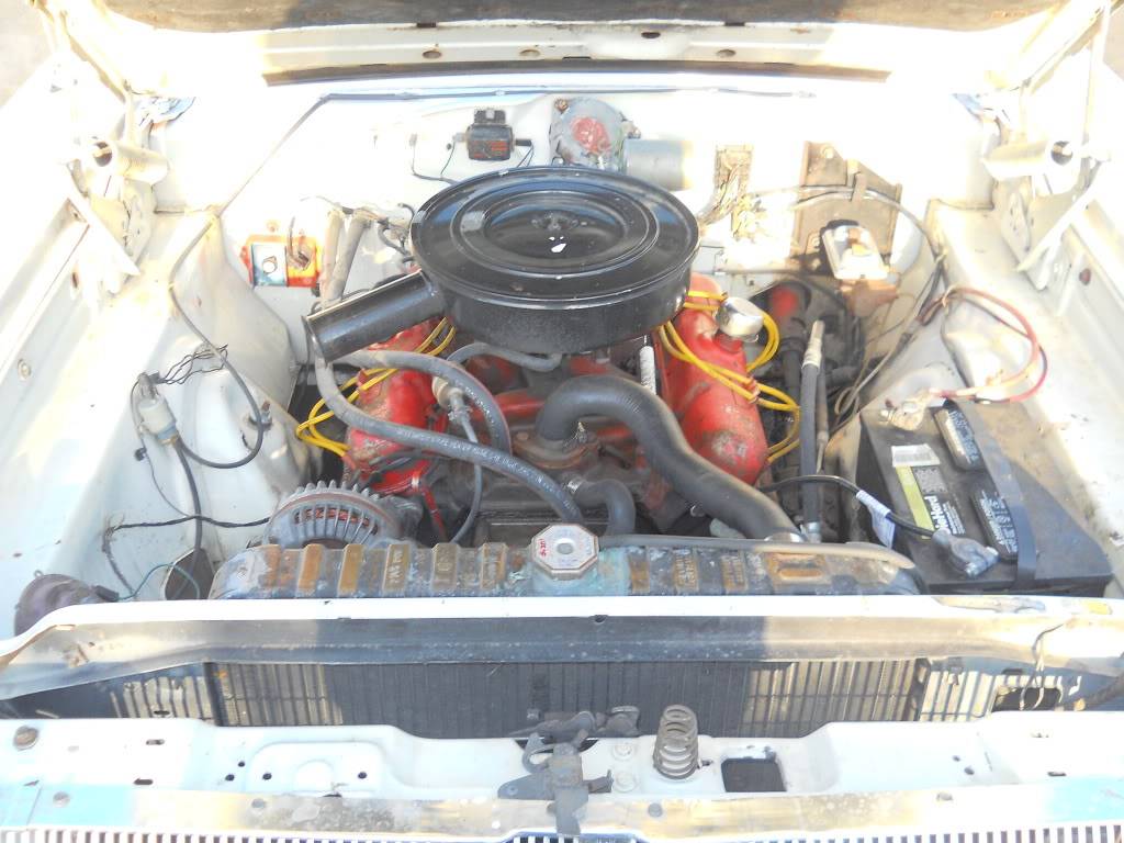 updatedcoronetpix012.jpg