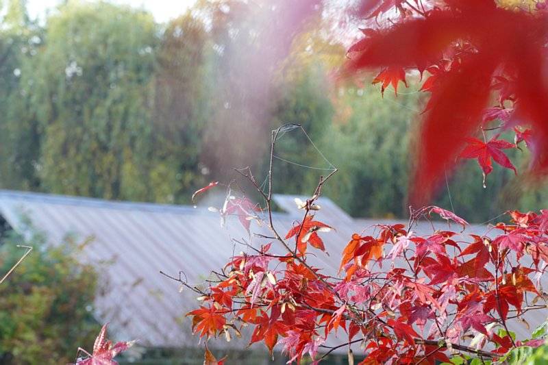 upload_2018-10-28_14-38-52.jpeg