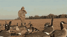upload_2020-8-12_14-5-15.gif