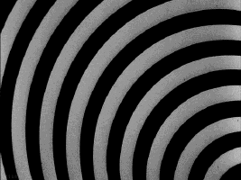 upload_2021-3-9_20-40-47.gif