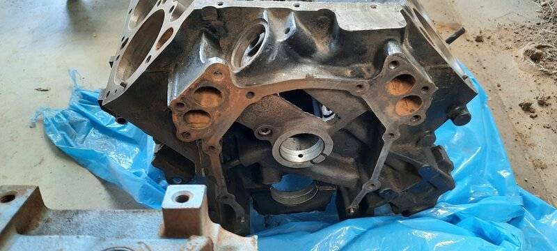 upload_2021-8-13_12-29-42.jpeg