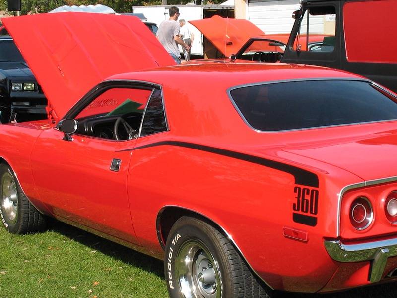 v8.jpg