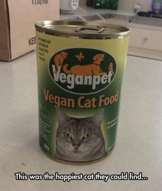 vegan cat food.jpg