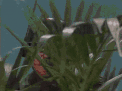 Very interesting gif.gif