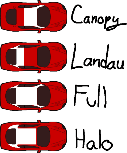 Vinyl_Roof_Types.png