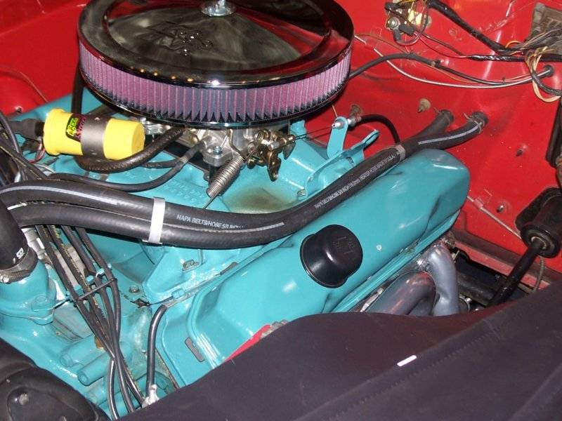 Vito 9-23-12 (4).JPG