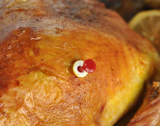 volk-disposable-turkey-pop-up-thermometer-in-action.jpg