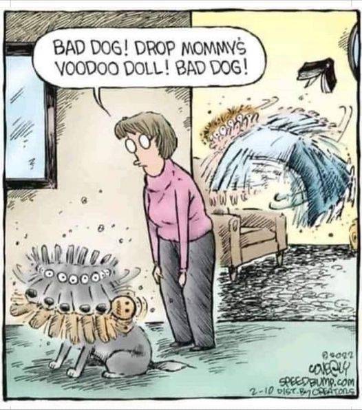 voodo.jpg