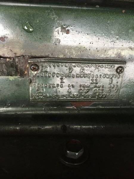 Washburn -Fender Tag 3.JPG