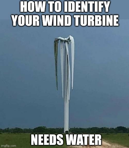water it.jpg