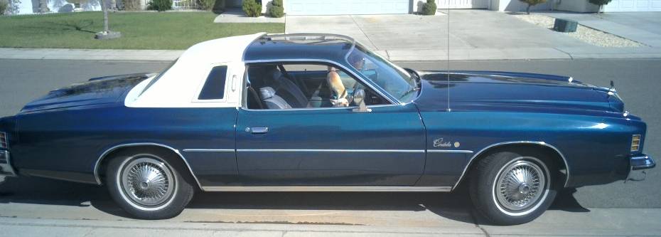 waxed1.jpg