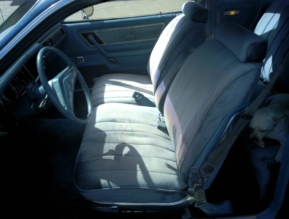 waxed3.jpg
