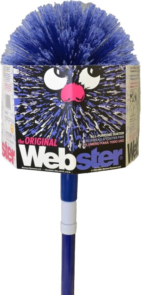 Web.jpg