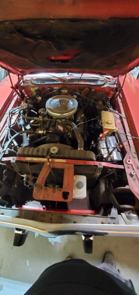 WhatsApp Image 2025-11-08 at 5.53.49 PM.jpeg