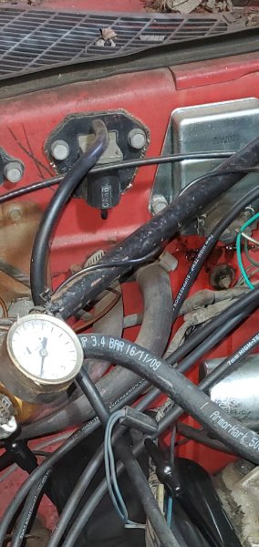 WhatsApp Image 2025-11-08 at 7.55.51 PM (2).jpeg