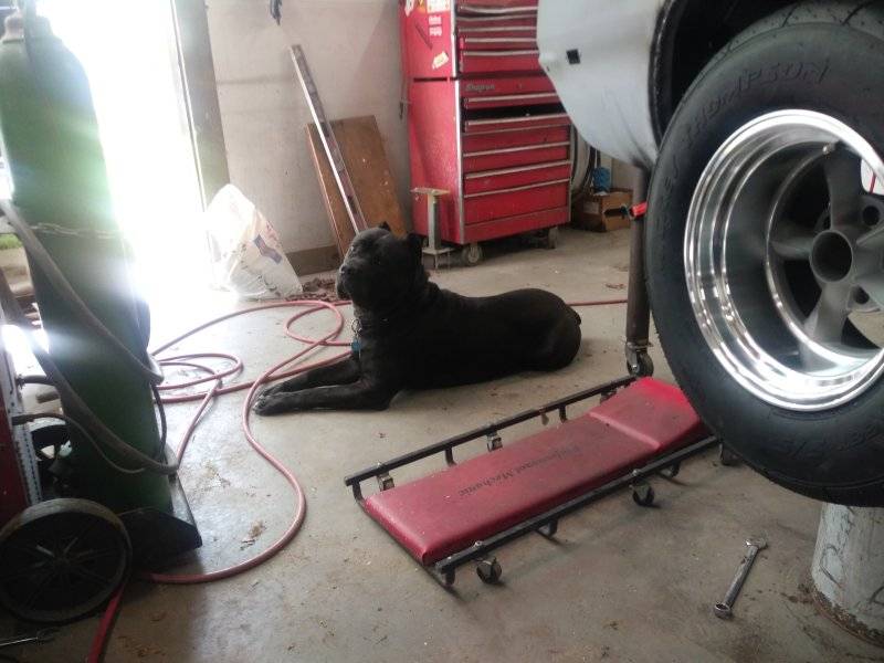 wheel.jpg