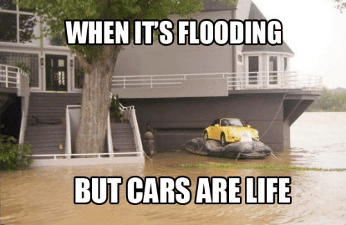 when-its-flooding-but-cars-are-life-clever-car-throttle-2878895~2.png