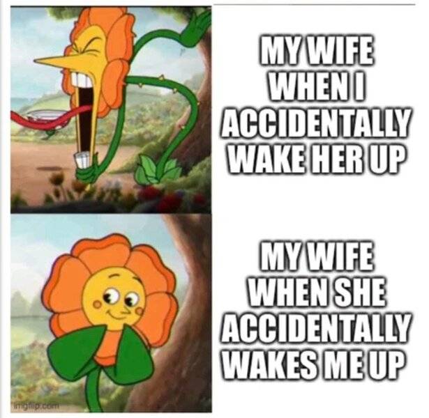 Wife 3.jpeg
